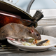 Illustration for article titled Developmentally Disabled Man Awarded $8 Million After Found Living Alone With Hundreds of Rats